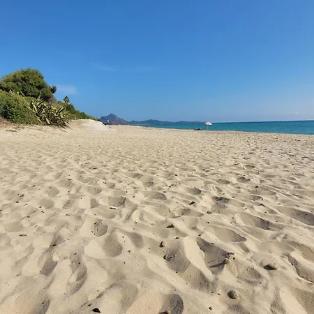 Stella House At Free *